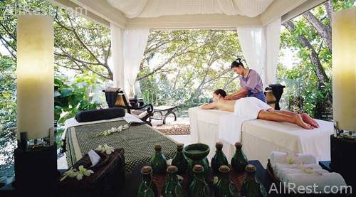 Banyan Tree Deluxe 13